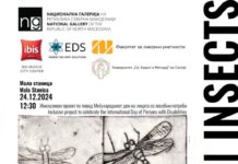 ИНСЕКТИ, Инклузивен проект по повод Меѓународниот ден на лицата со посебни потреби