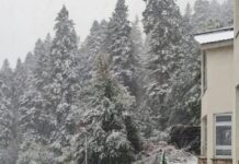 Кога снегот навистина ќе не изненади во октомври