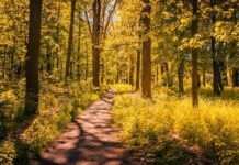 Враќањето кон природата е враќање кон себе