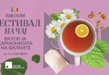 Фестивал на чај, од 14 до 16 ноември во Скопје Сити мол
